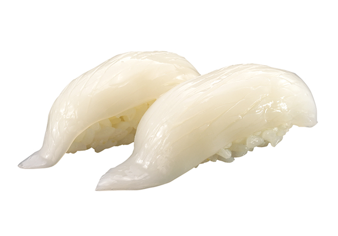 image of Squid